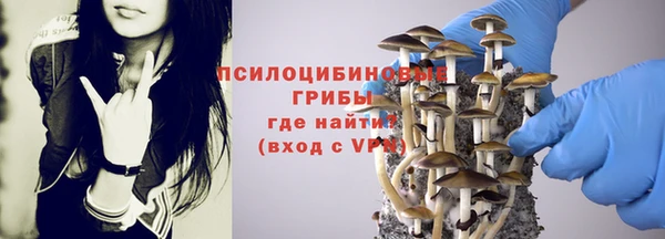 ECSTASY Армянск